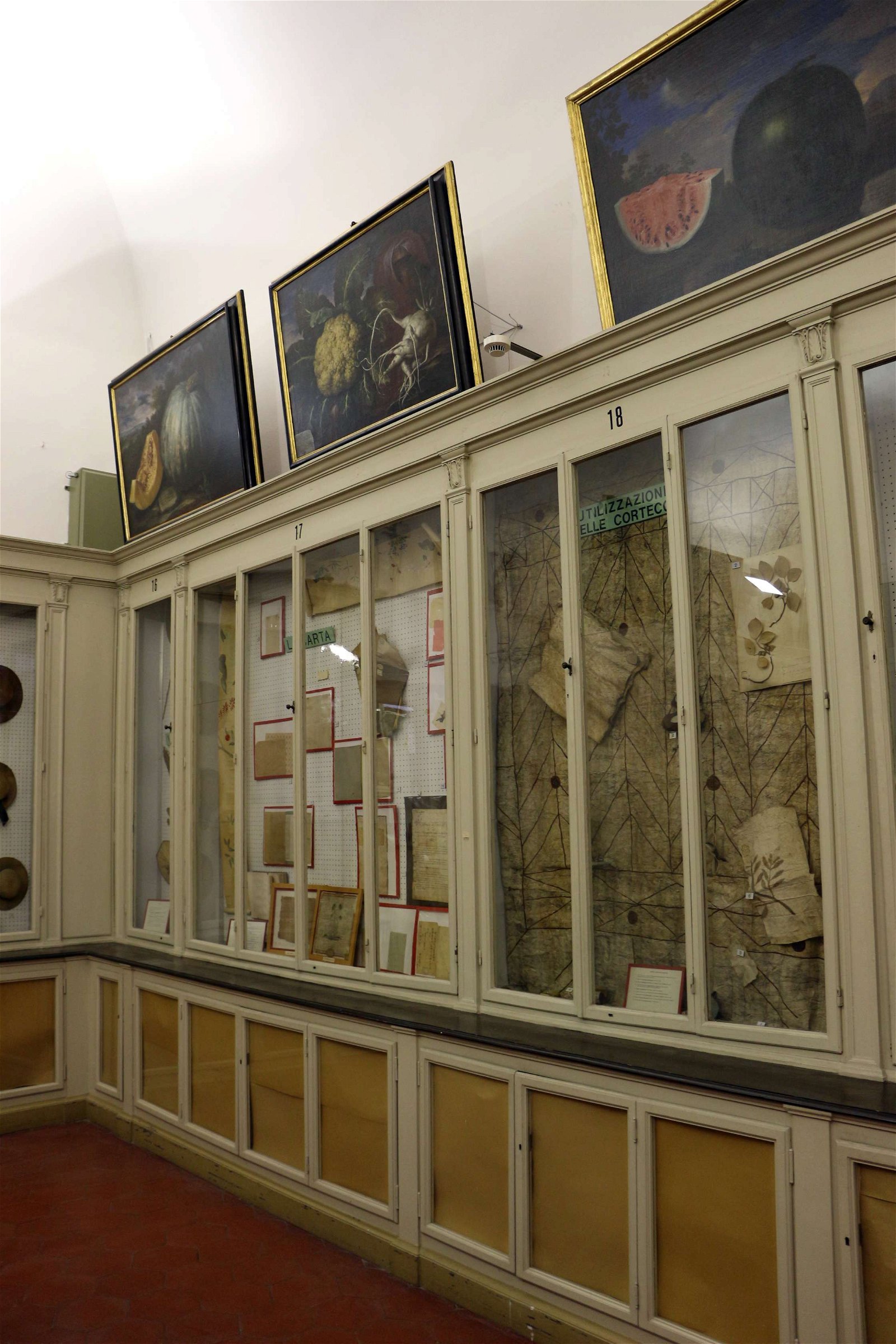 University of Florence Natural History Museum - Geology and Paleontology