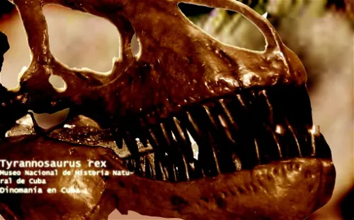 Museo Nacional de Historia Natural Cubana