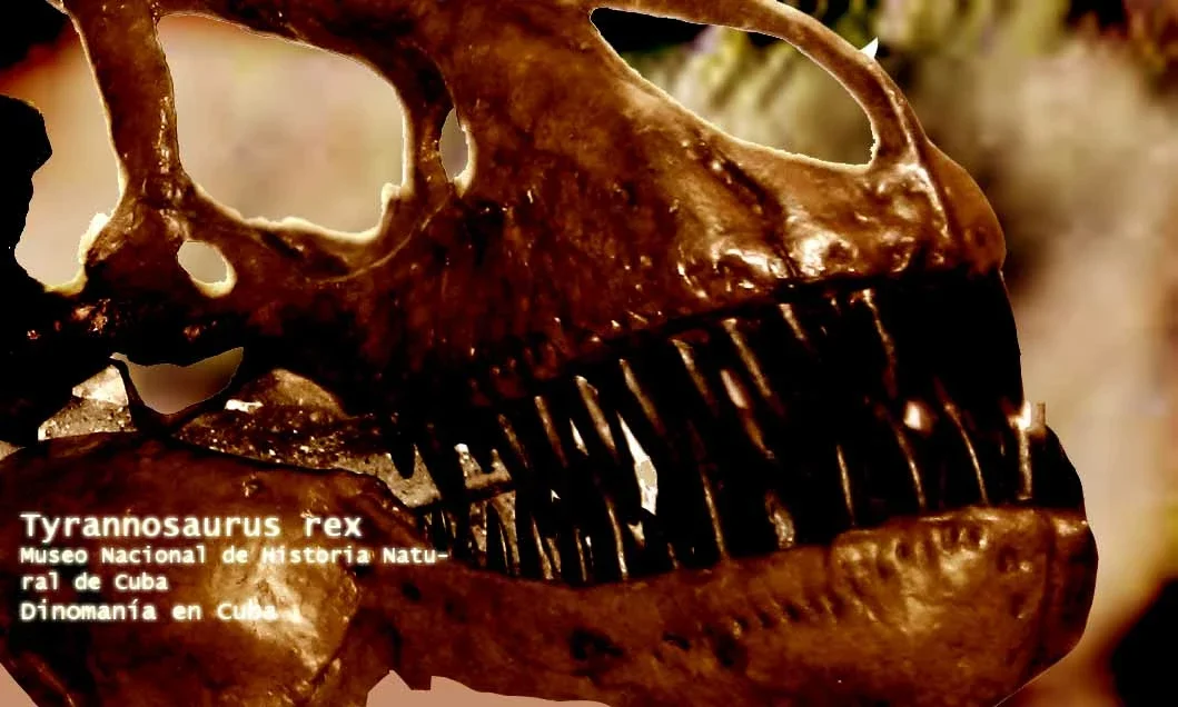 Museo Nacional de Historia Natural de Cuba