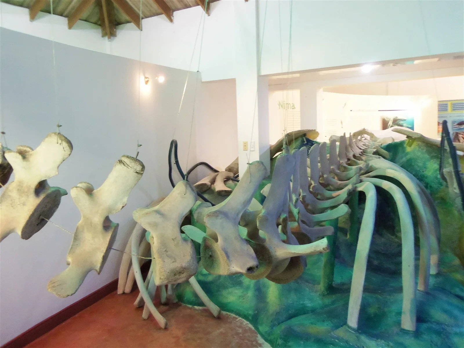 Museo de las Ballenas de Samaná