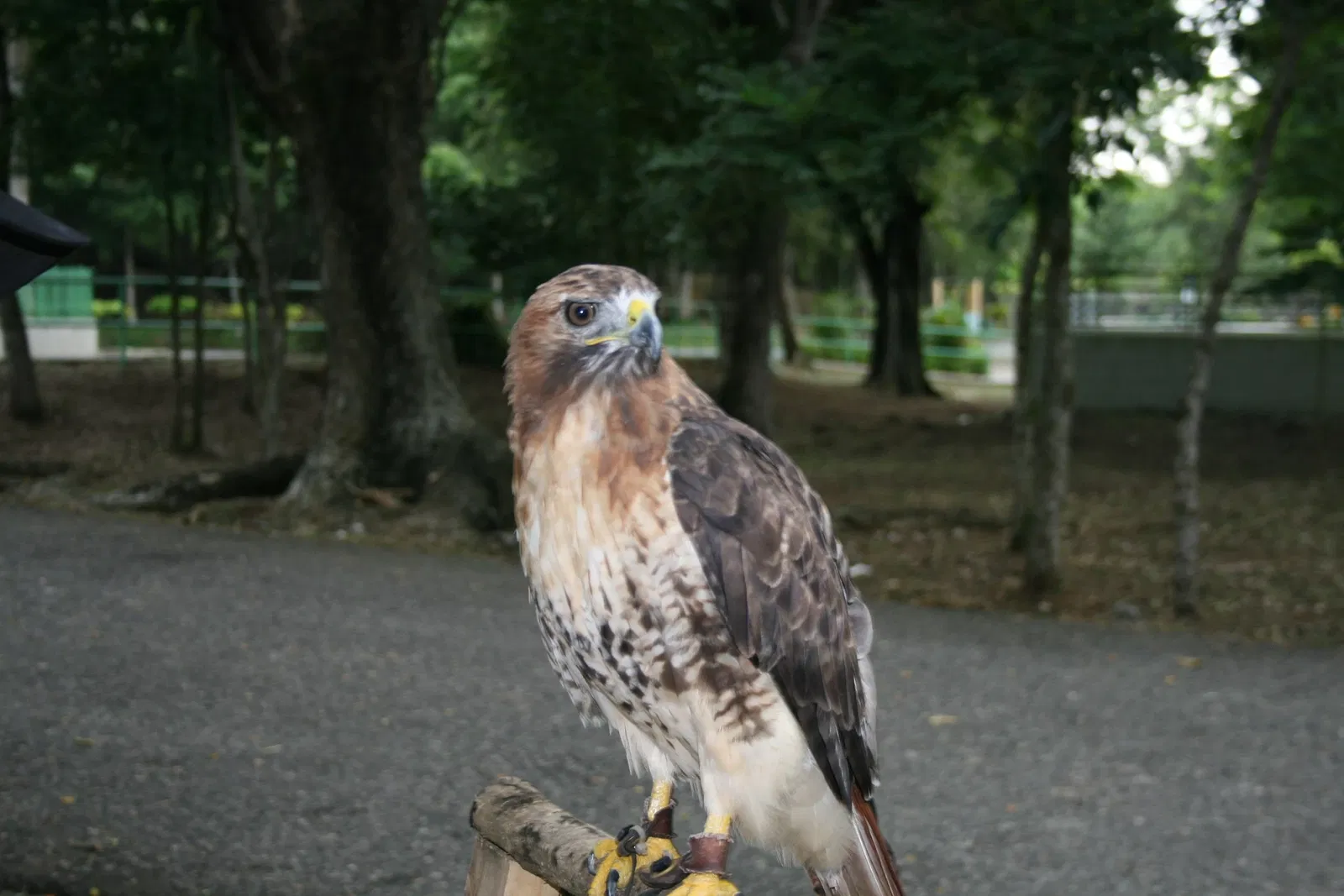 National Zoological Park