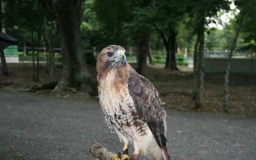 National Zoological Park