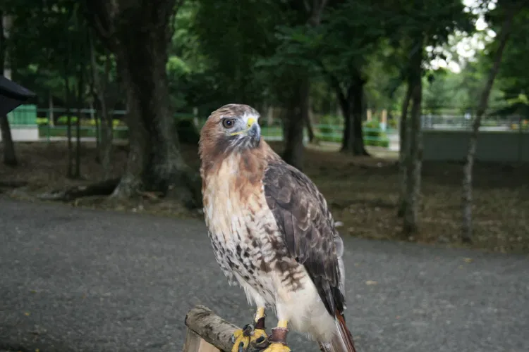 National Zoological Park