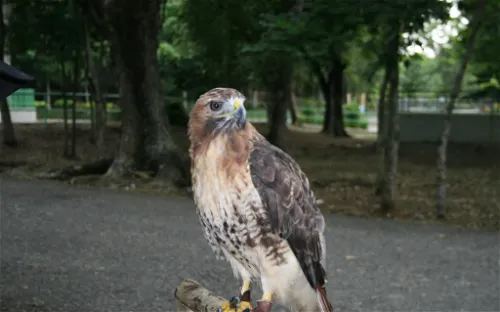 Parque Zoológico Nacional