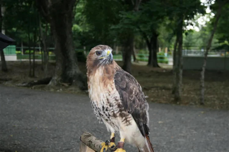 Parque Zoológico Nacional
