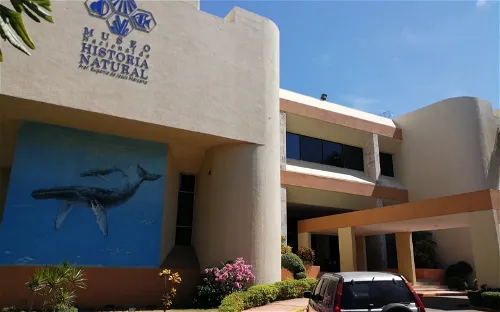 National Museum of Natural History