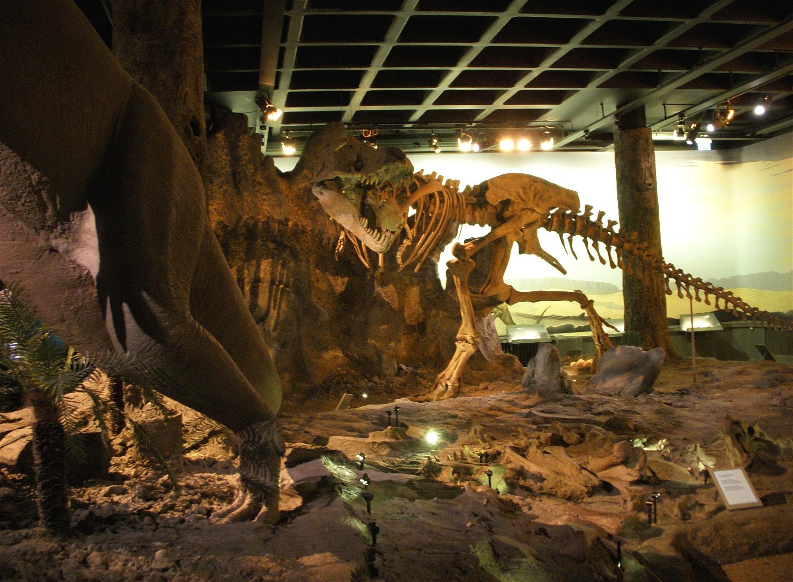 Swedish Museum of Natural History