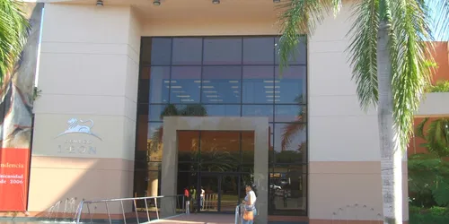 TALLER DE TALLADO SANTOS DE PALO