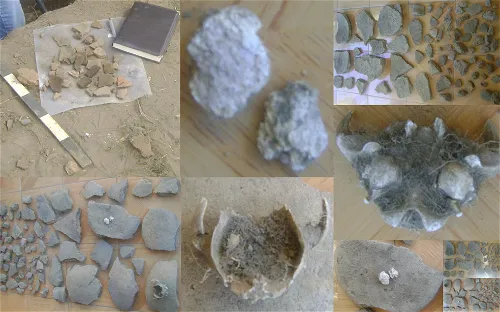 Museo de Historia Natural de Concepción