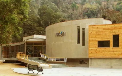 Artequin Museum Vina del Mar