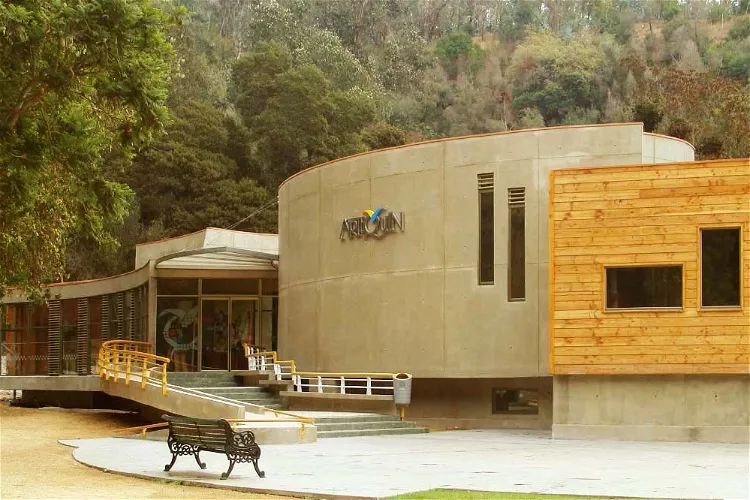 Museo Artequin Viña del Mar
