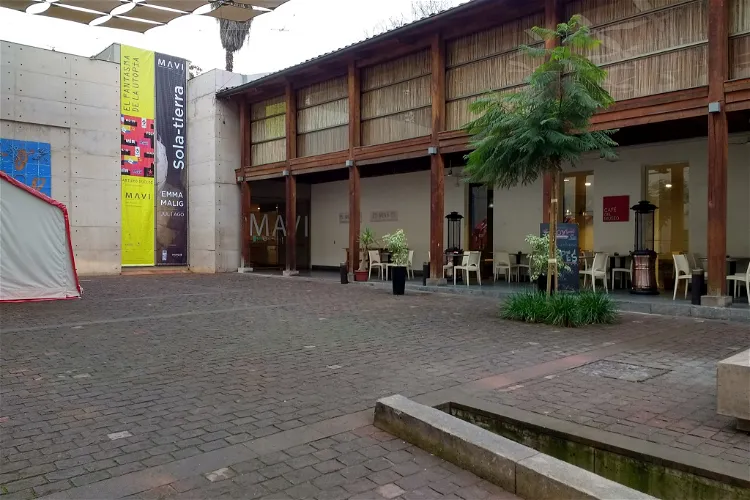 Museo de Artes Visuales