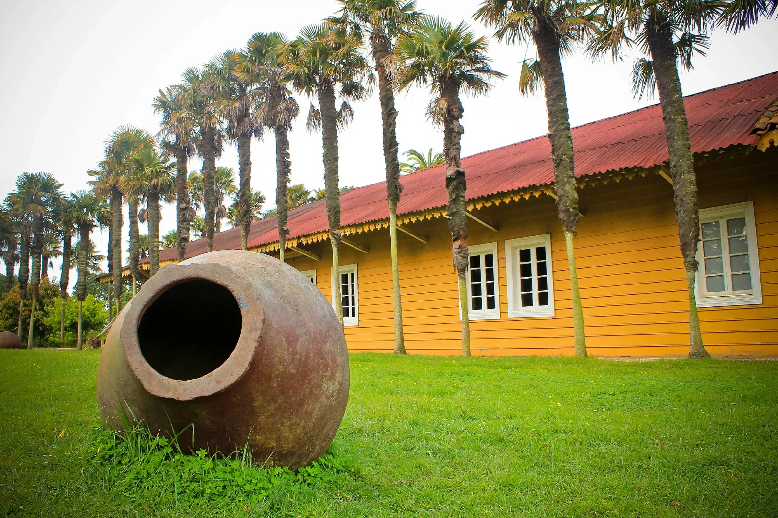 Museo Pedro del Río Zañartu