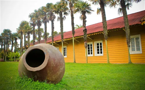 Museo Pedro del Río Zañartu