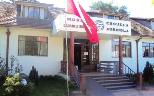 Museo Dillman S. Bullock