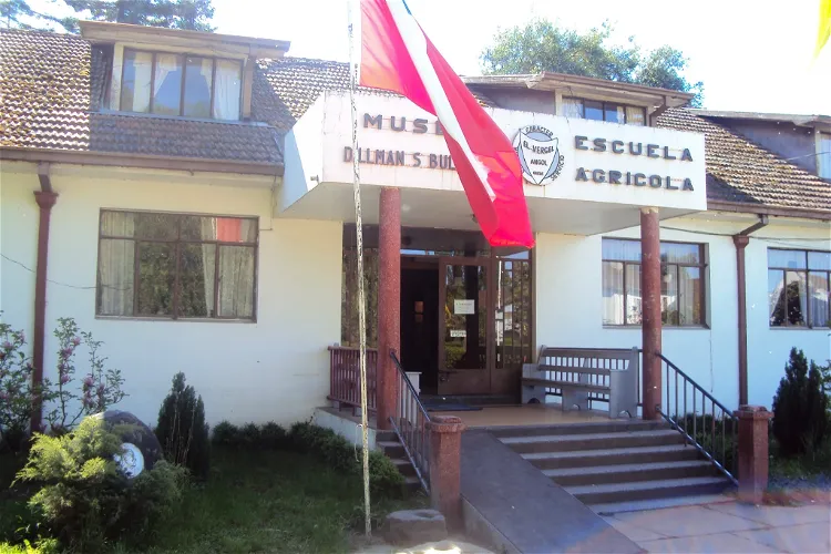 Museo Dillman S. Bullock