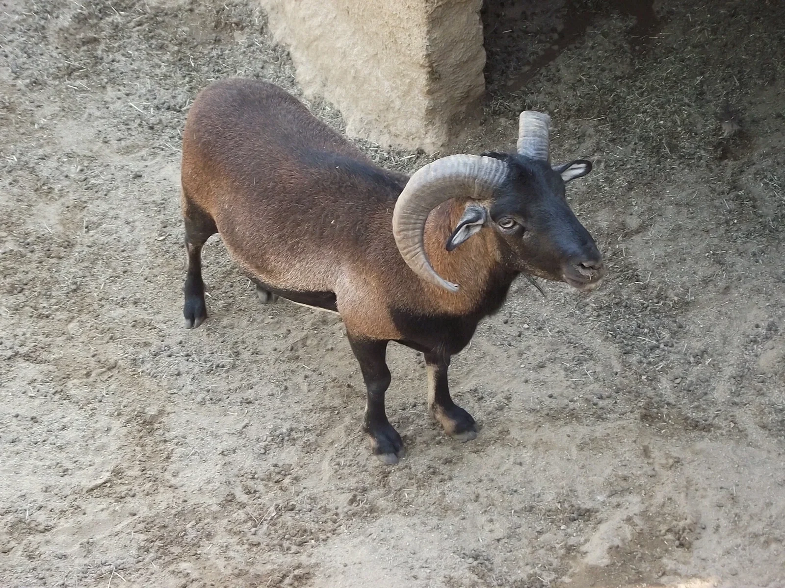 Zoológico de Quilpué
