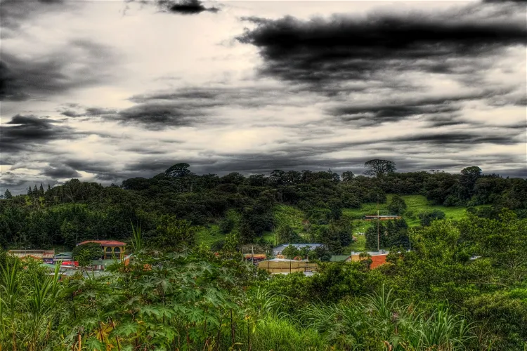 Ranario de Monteverde