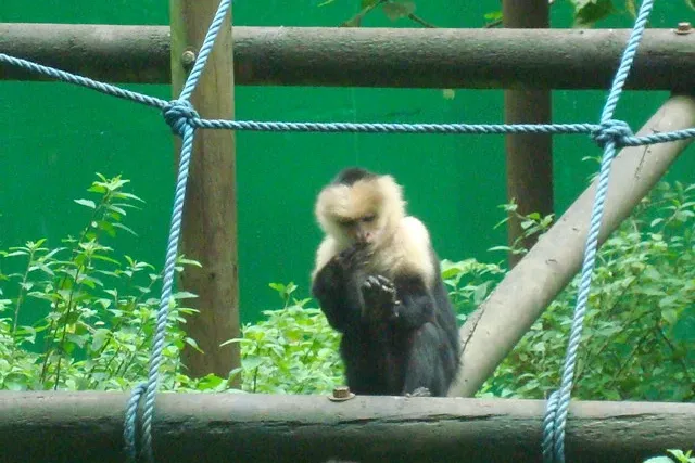 Parque Zoológico y Jardín Botánico Nacional Simón Bolívar