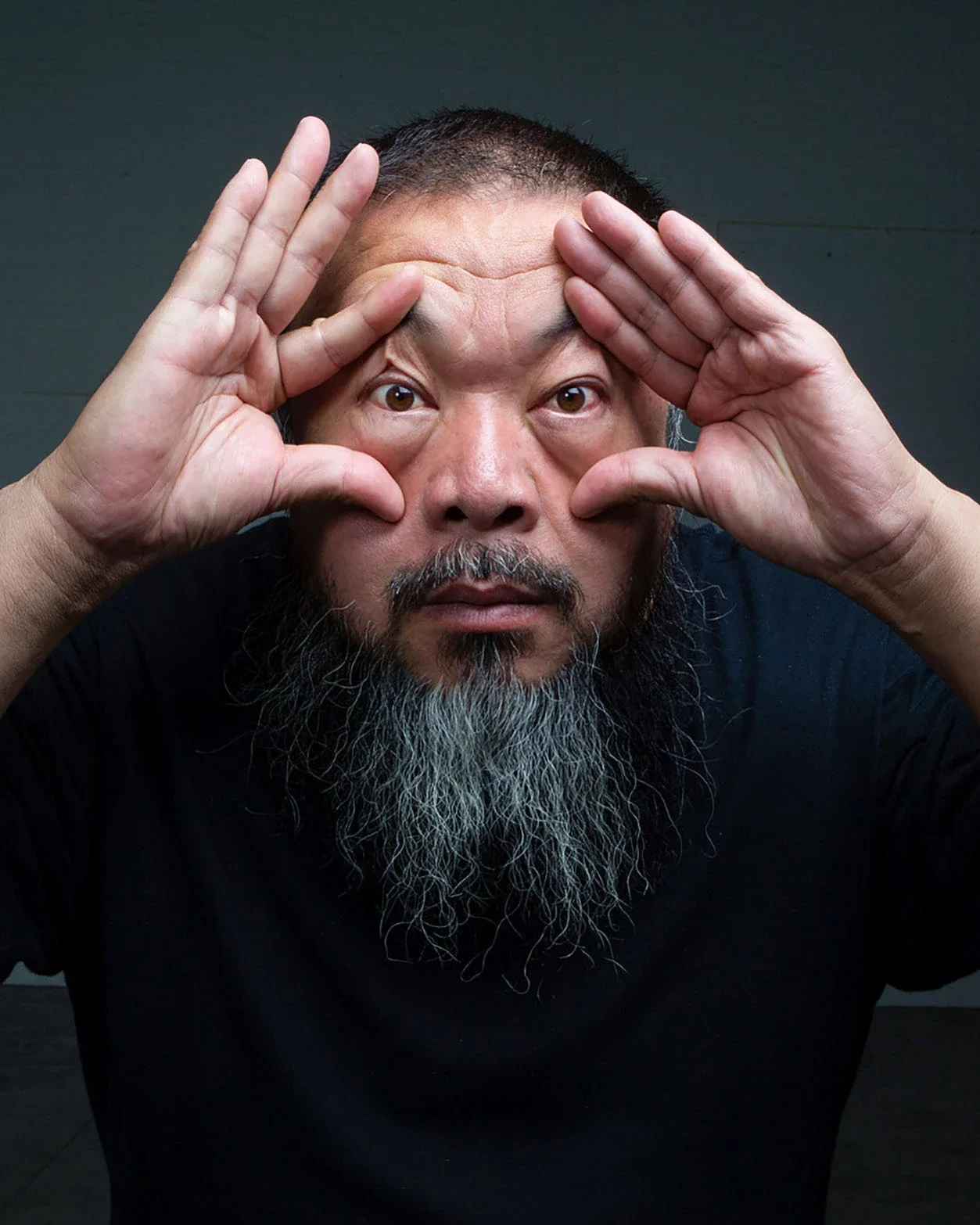 Ai Weiwei. In Search of Humanity