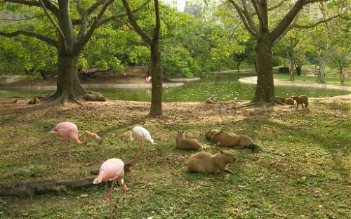 Parque Zoológico El Pinar