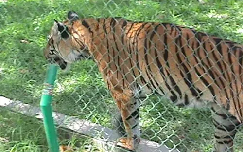 Parque Zoológico Caricuao