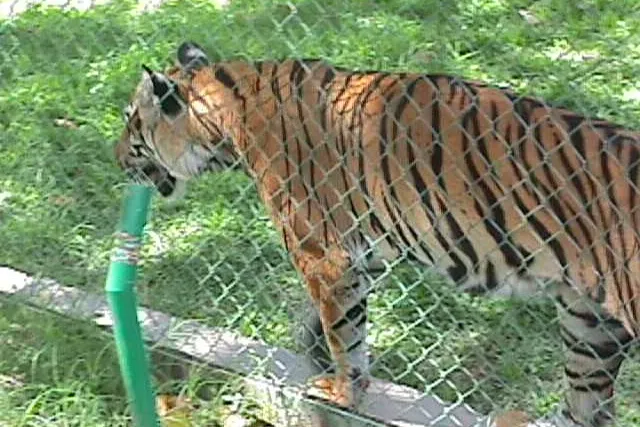 Parque Zoológico Caricuao