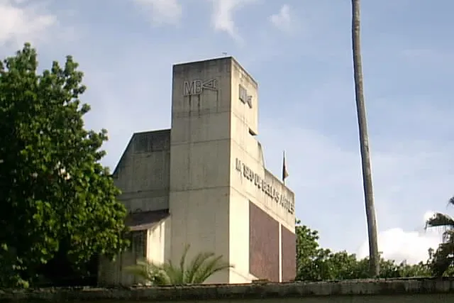 Museo de Bellas Artes