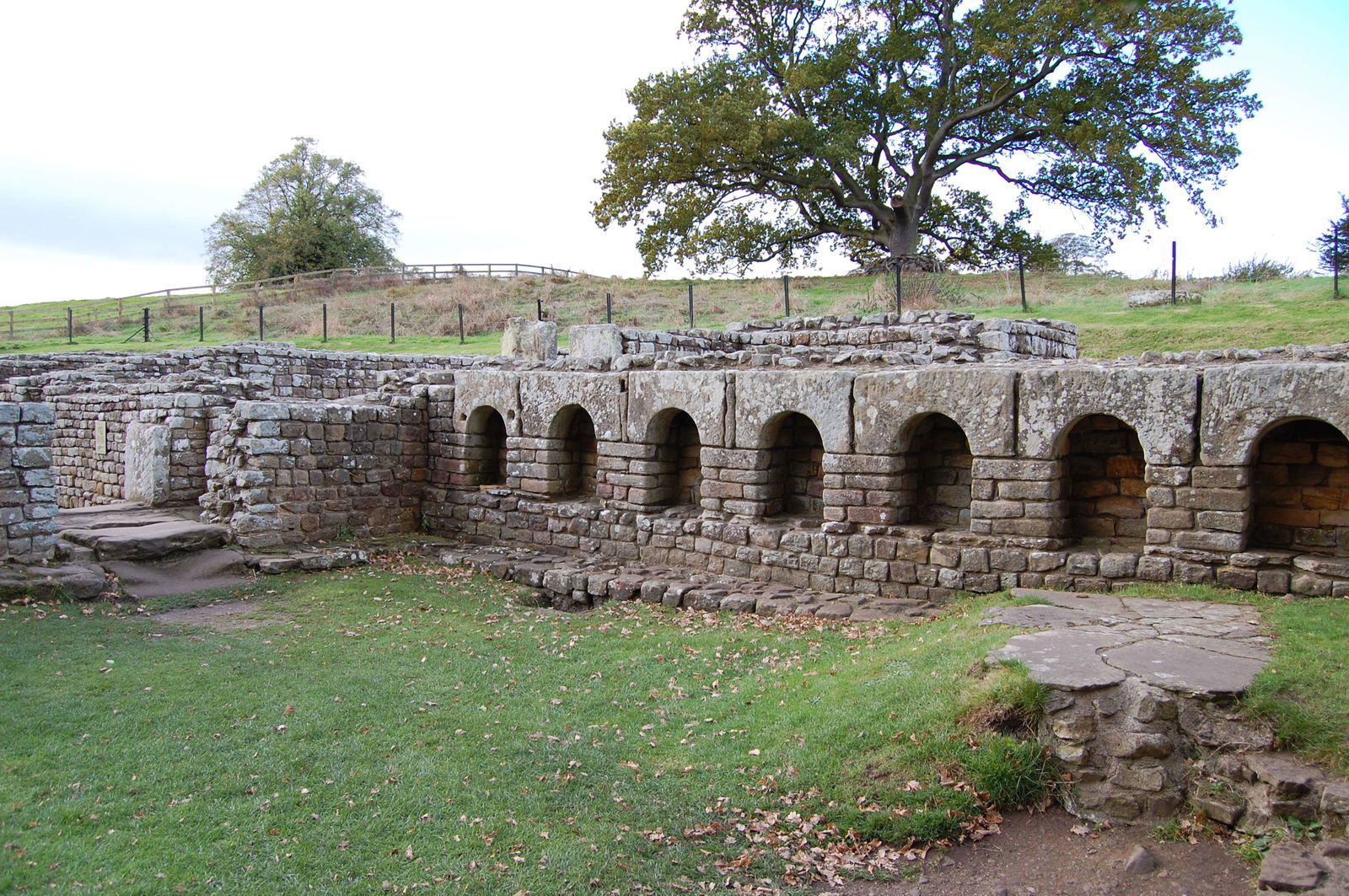 Opening Hours - Chesters Roman Fort and Museum (Chollerford)