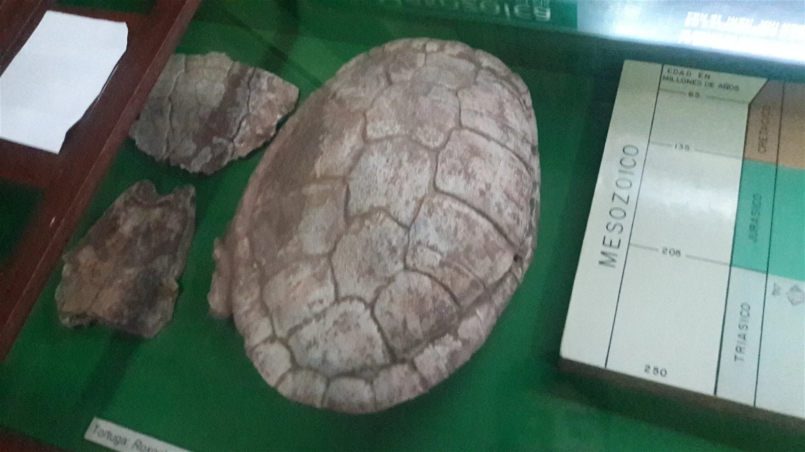 Instituto de Investigaciones Antropológicas y Museo Arqueológico