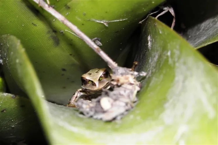 Yaku Parque Museo del Agua