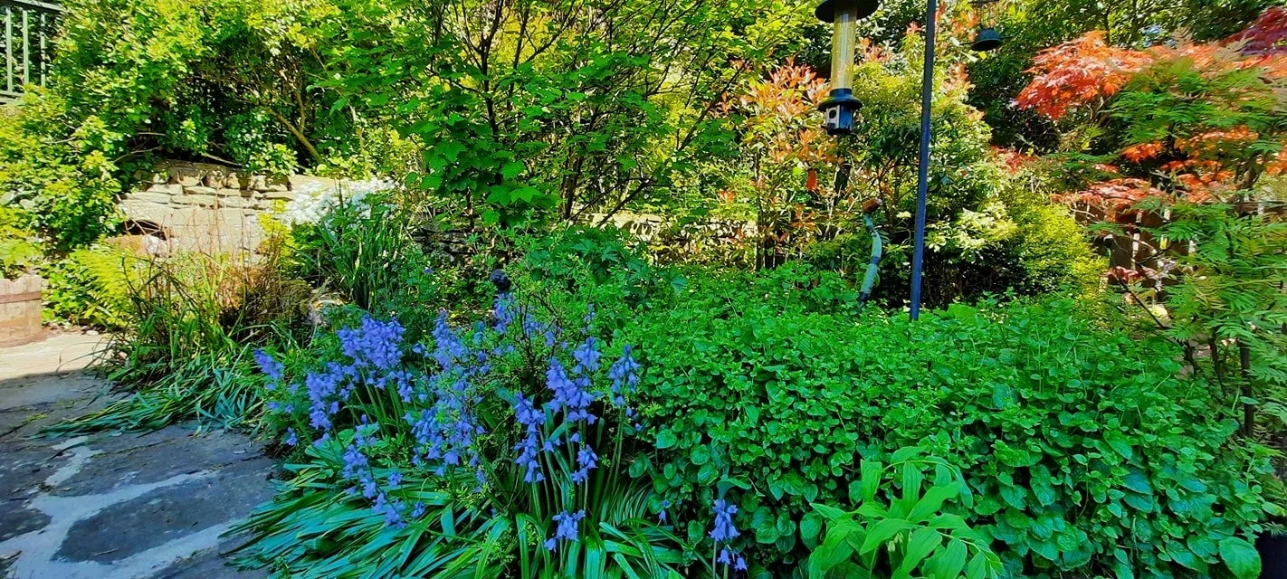 Museum of North Craven Life