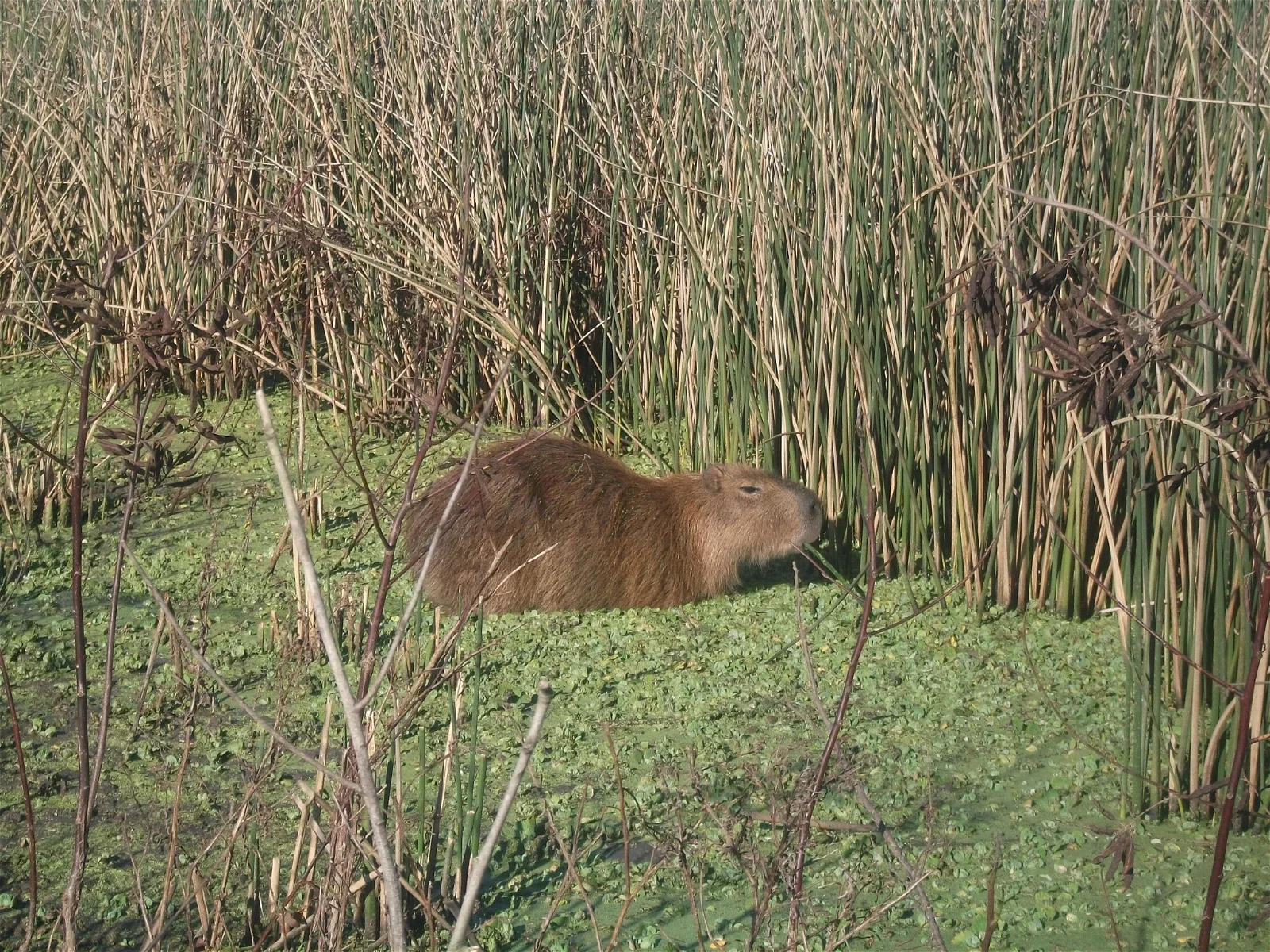 Reserva de Fauna Carmelo