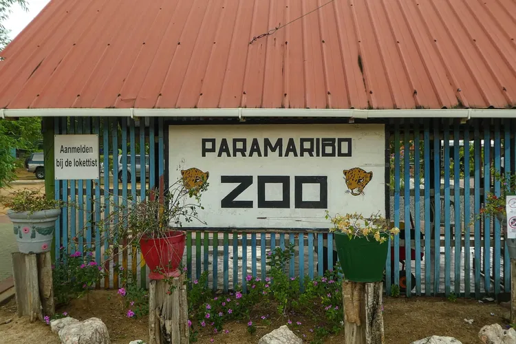 Zoológico de Paramaribo