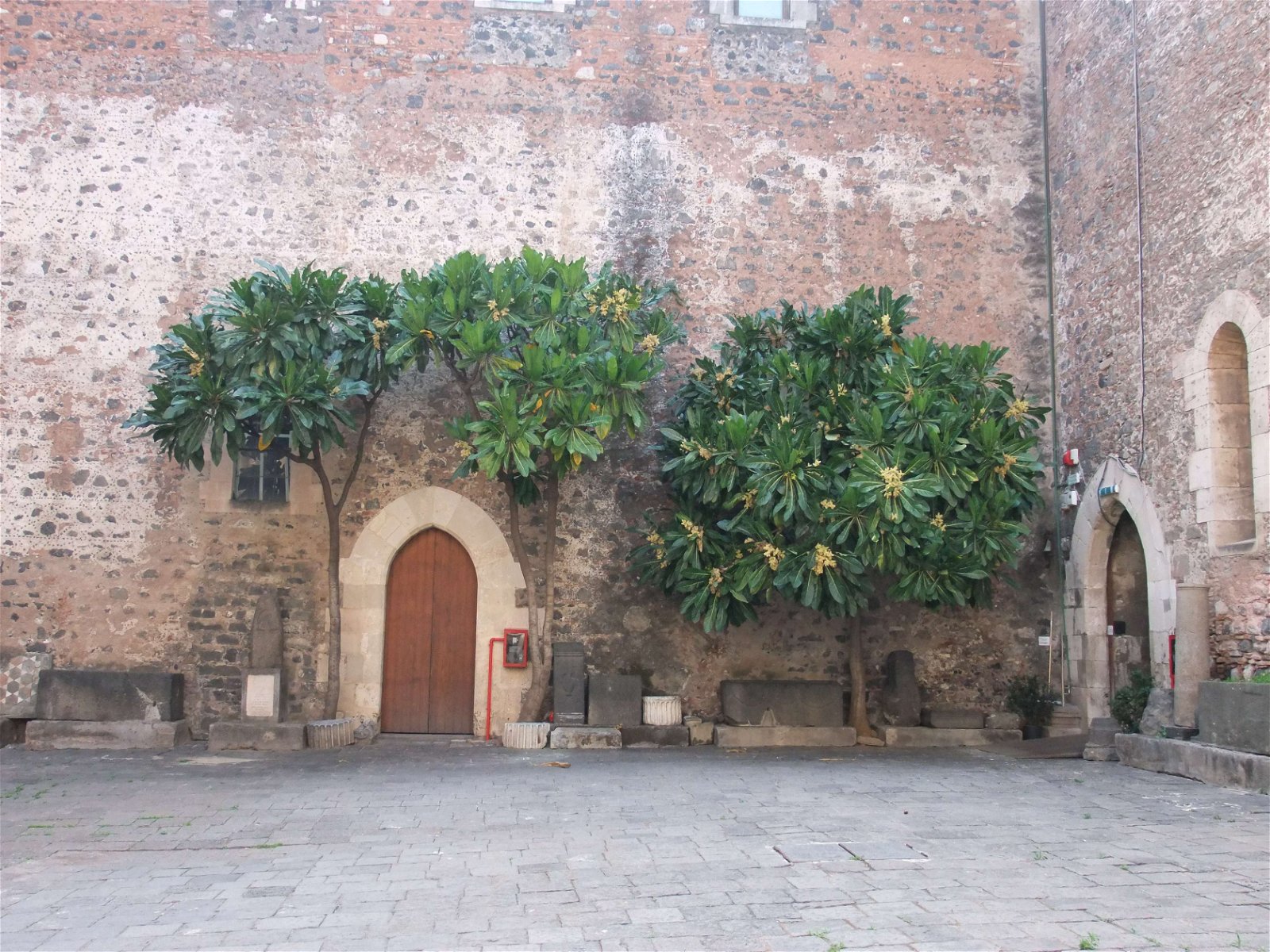 Castello Ursino & Museo Civico