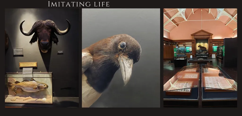 Natural History
