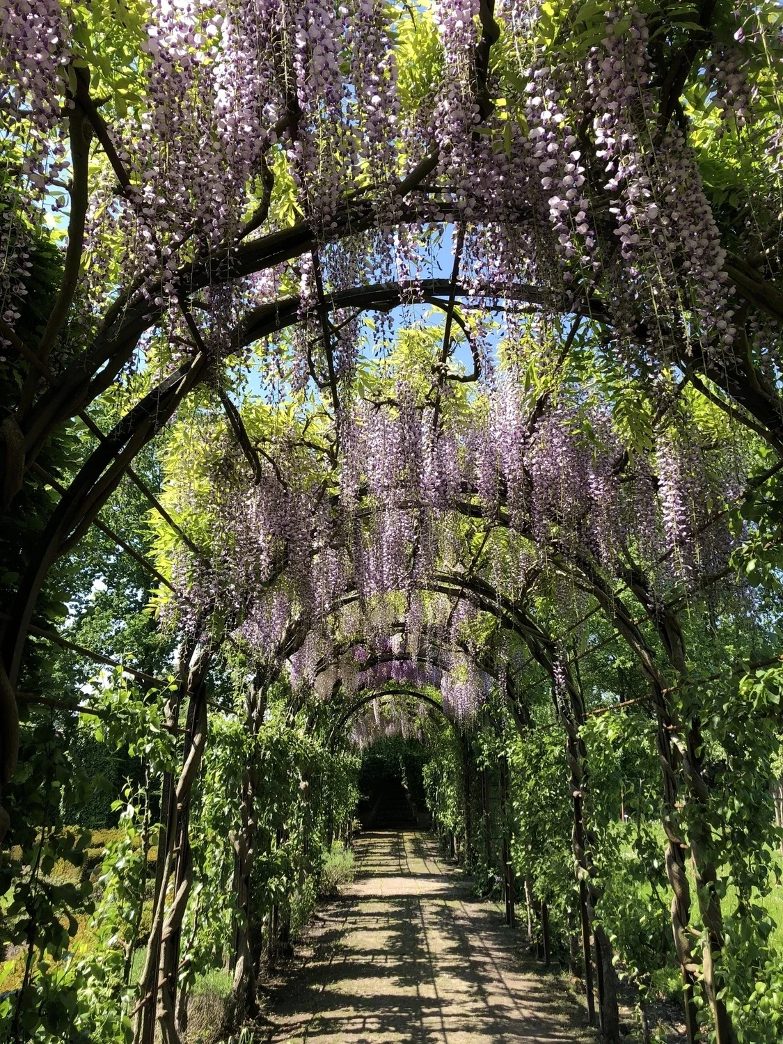 Museum De Buitenplaats