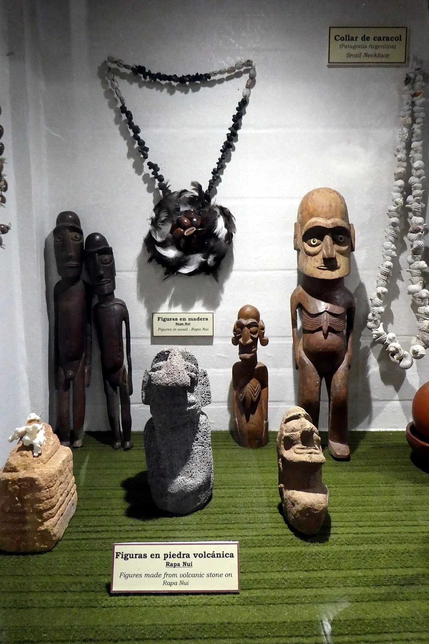 Museo Salesiano Maggiorino Borgatello