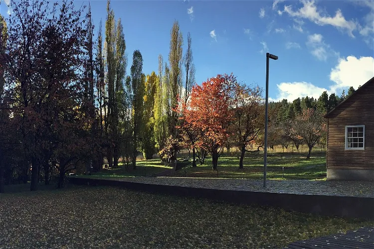 Regional Museum of Aysén