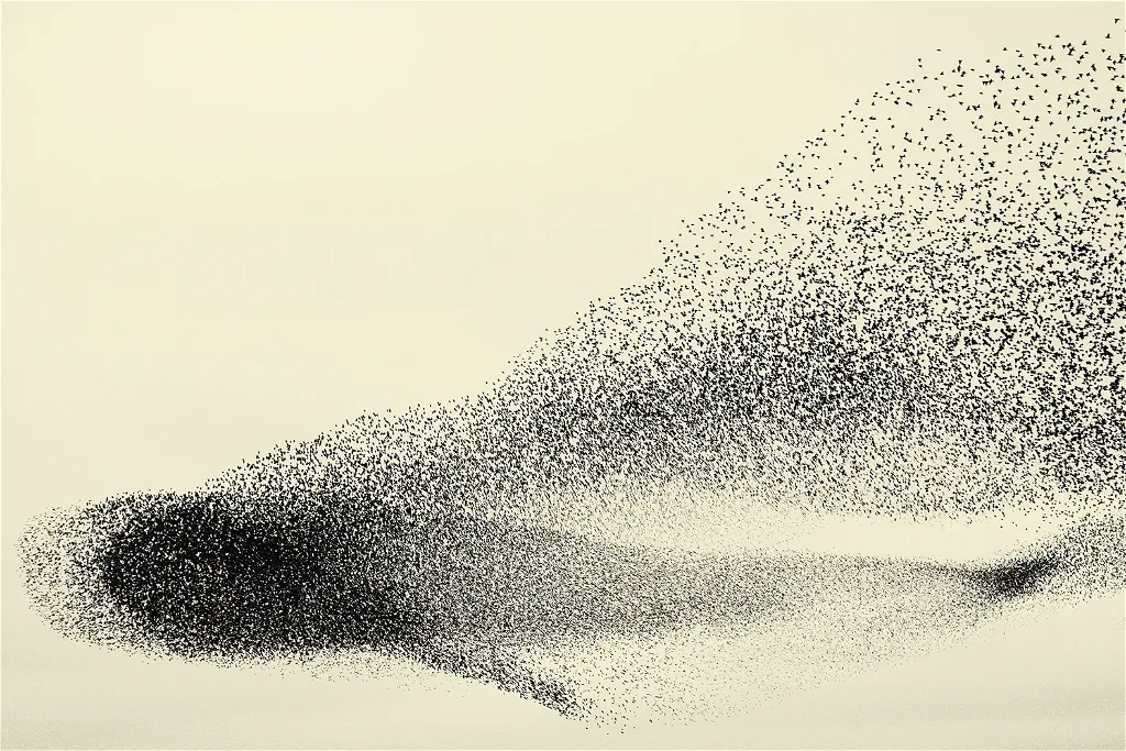 Spreeuwendans / Protterdûns
