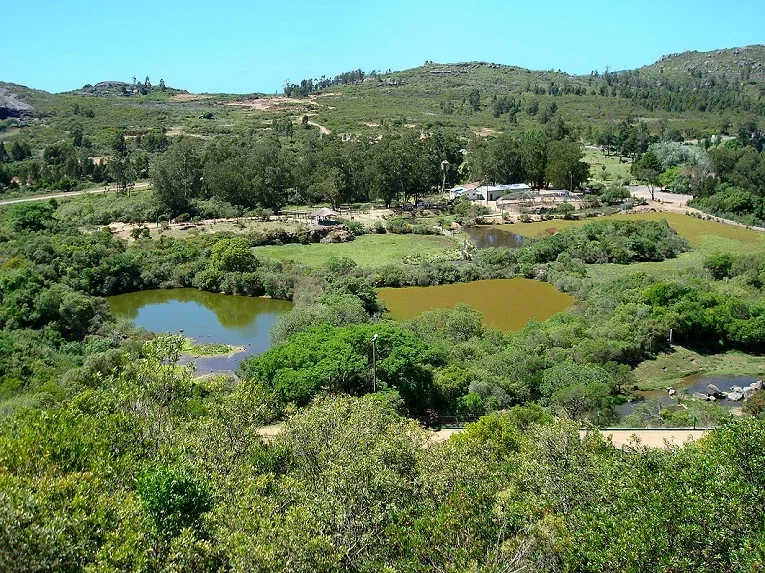 Reserva de Fauna y Parque Cerro Pan de Azúcar