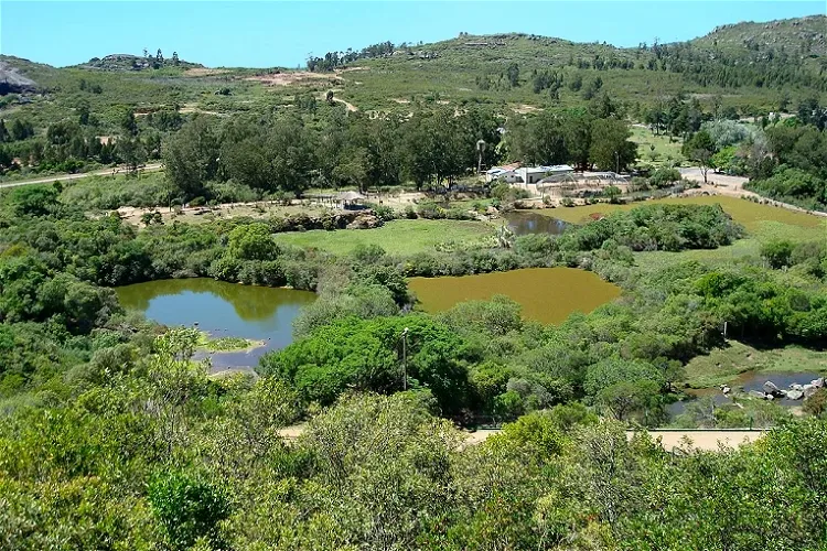 Reserva de Fauna y Parque Cerro Pan de Azúcar