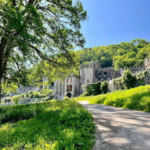 Gwrych Castle Abergele Visitor Information Reviews Gwrych Castle Abergele Visitor Information Reviews
