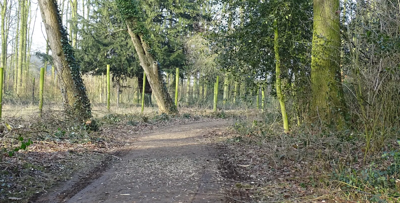 Streekmuseum Baron van Brakell