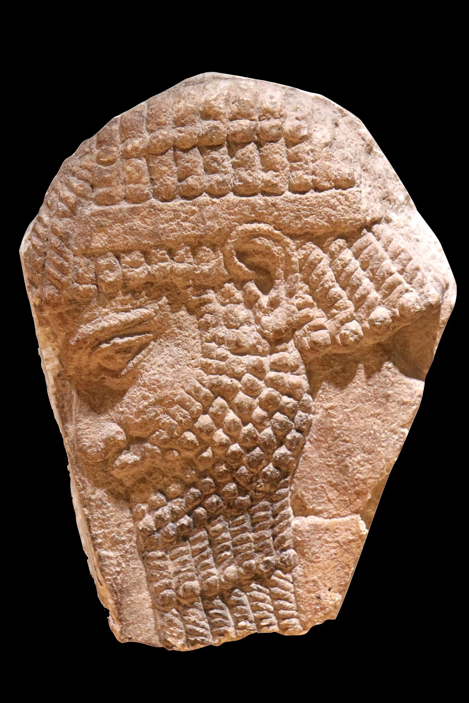 Museum of Mediterranean Archaeology