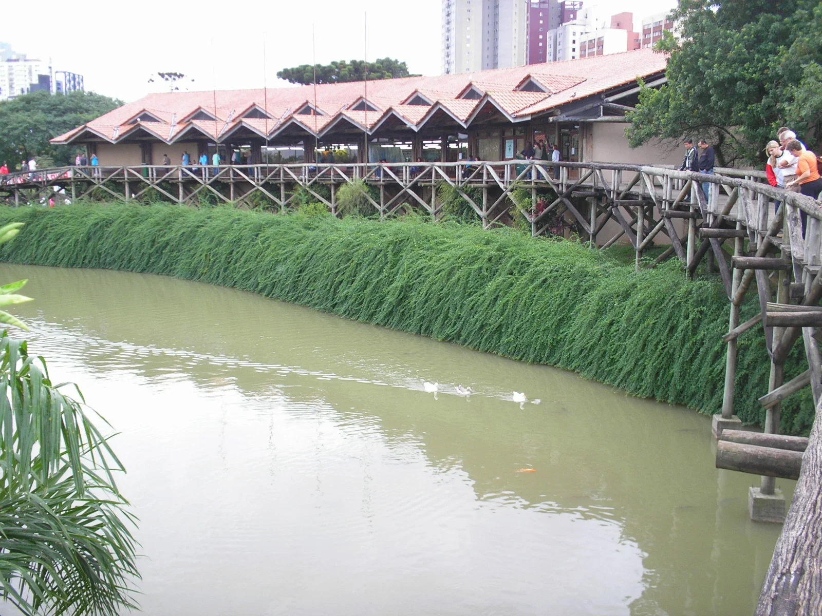 Gerdt Hatschbach Botanical Museum