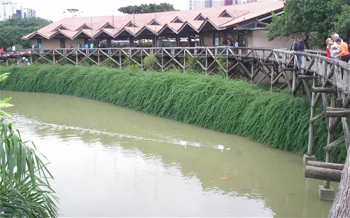 Gerdt Hatschbach Botanical Museum