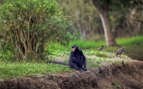Zoológico Municipal de Curitiba