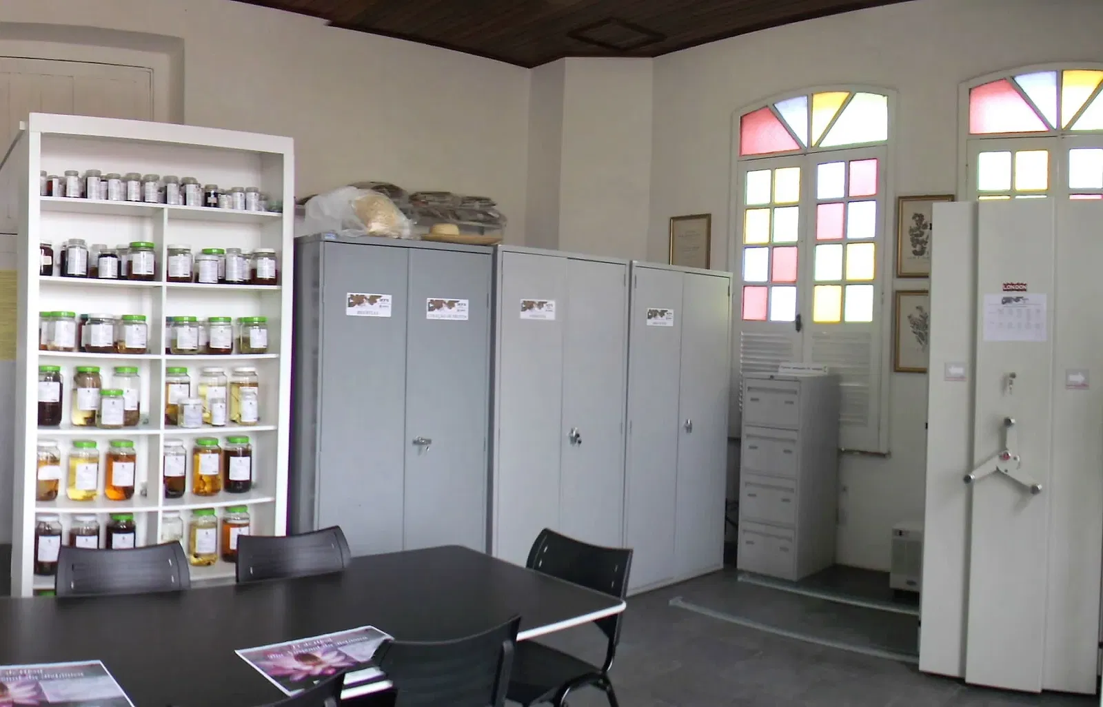 Herbário Profª Drª Marlene Freitas da Silva