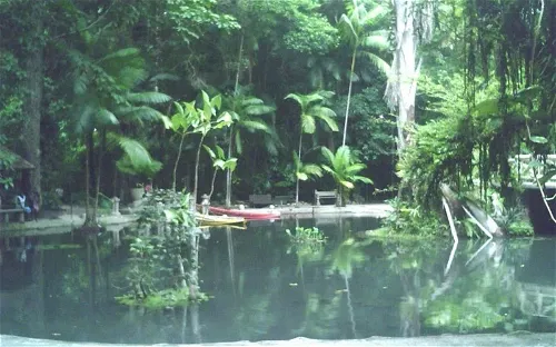 Bosque Rodrigues Alves